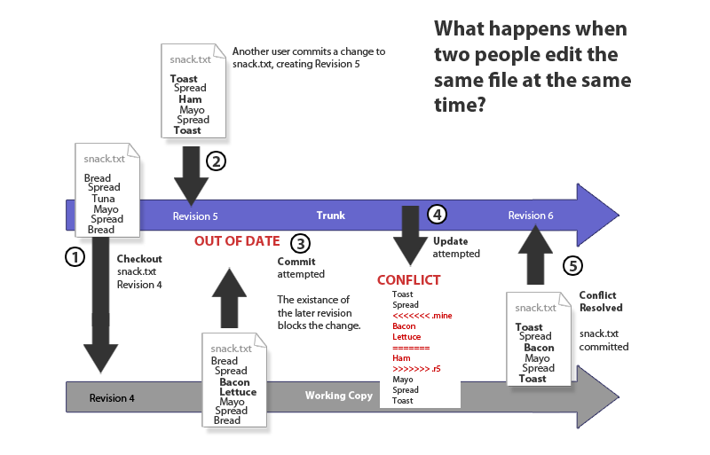 svn explained02