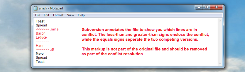 svn explained02conflict