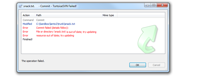 svn explained02error